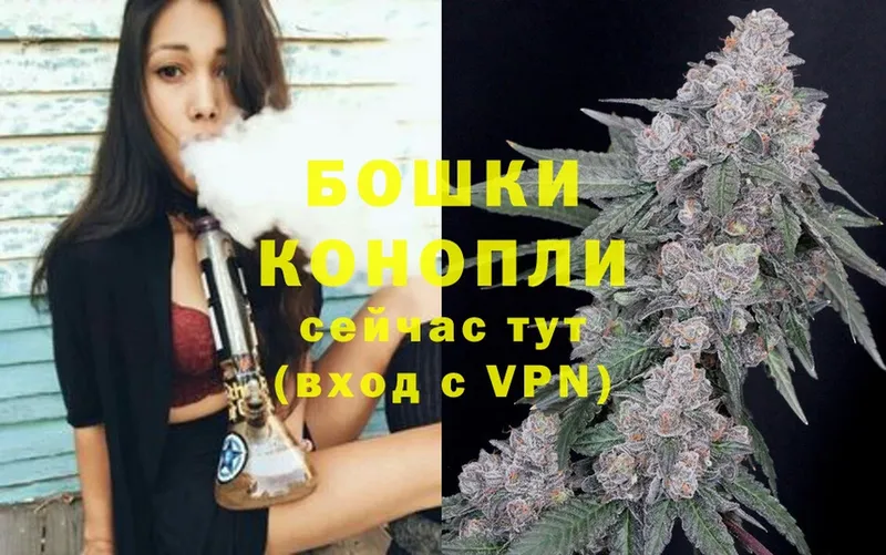 купить  цена  Подпорожье  Конопля план 